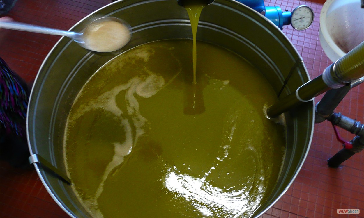 Reciclaje de Aceites Usados